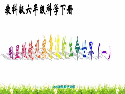 最新科教版小学六年级科学下册《用显微镜观察身边的生命世界(一)》精品课件