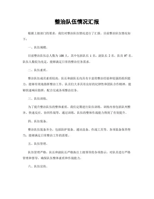 整治队伍情况汇报