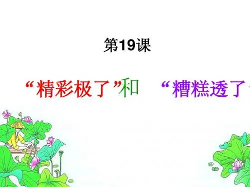 精彩极了和糟糕透了1_PPT