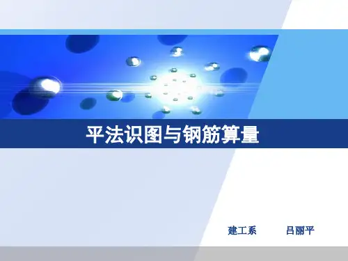 11G101-1图集