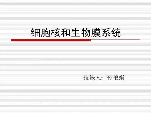 细胞核和生物膜系统