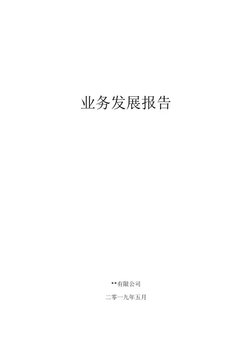 公司业务发展报告模版