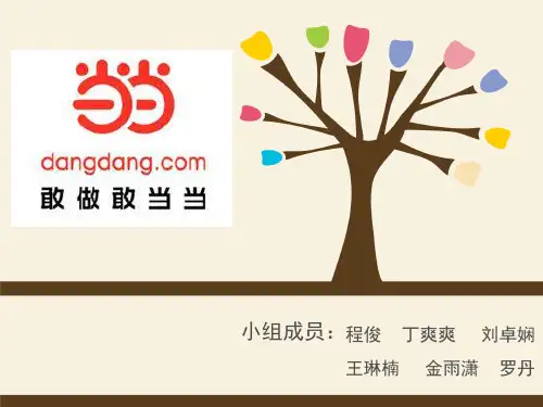 当当网案例分析资料.