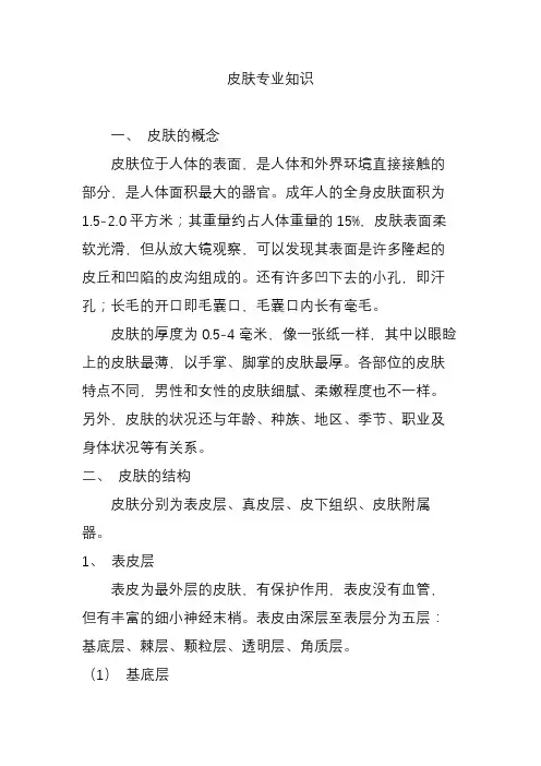皮肤专业知识