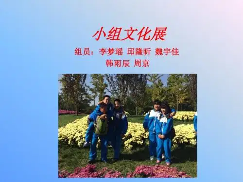 小组文化展 (1)