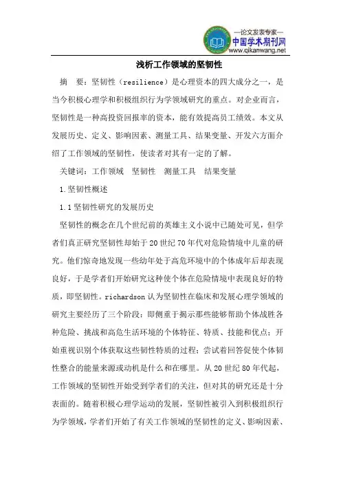 工作领域的坚韧性