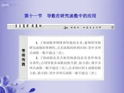 吉林省松原市扶余县第一中学2013届高三数学第二章第十一节解读