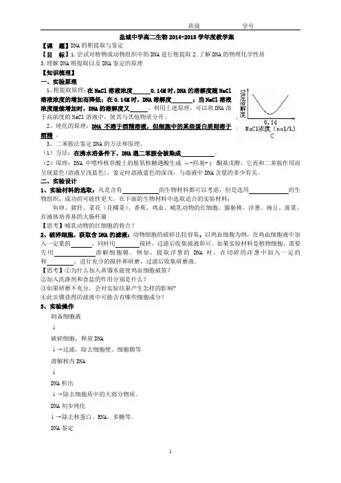 DNA粗提取