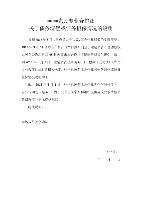 债务清偿或债务担保情况说明