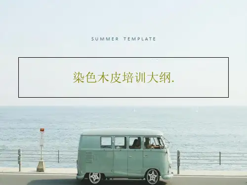 染色木皮培训大纲.20页PPT