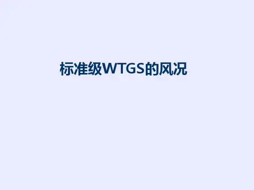 标准级WTGS的风况