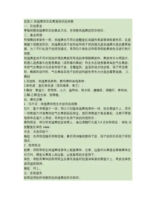 放线菌形态及菌落特征的观察.