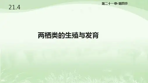 苏教版八年级生物下册21.4《两栖的生殖与发育》课件