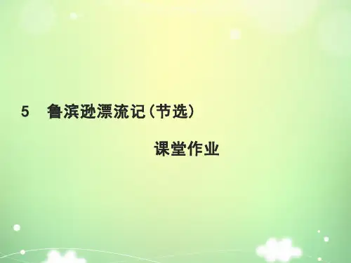 六年级下册语文练习课件-5 鲁滨逊漂流记(节选)课堂作业人教部编版