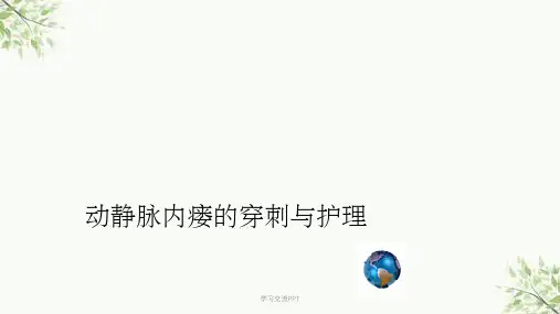 动静脉内瘘的穿刺与护理课件