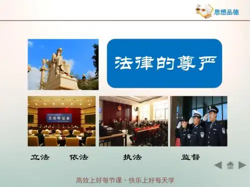 教科版九年级政治全册4.12《法律的尊严》情境探究型课件 (共29张PPT)