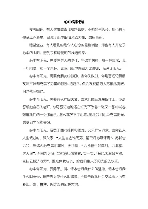 初三作文：心中有阳光作文600字