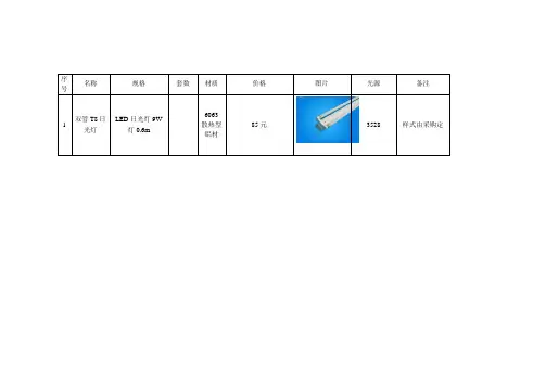 双管T8日光灯