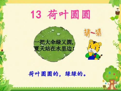 一年级下册语文课件-13《荷叶圆圆》 人教部编版(共12张PPT)