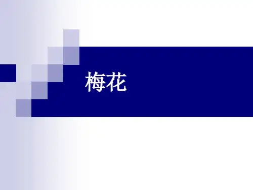 梅花