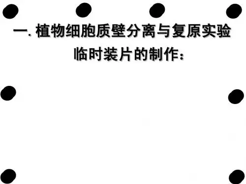 初中生物竞赛辅导课件之植物学知识补充