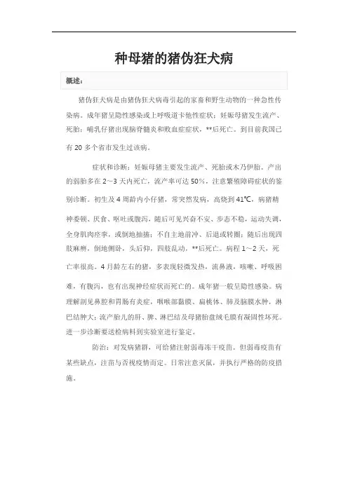 种母猪的猪伪狂犬病