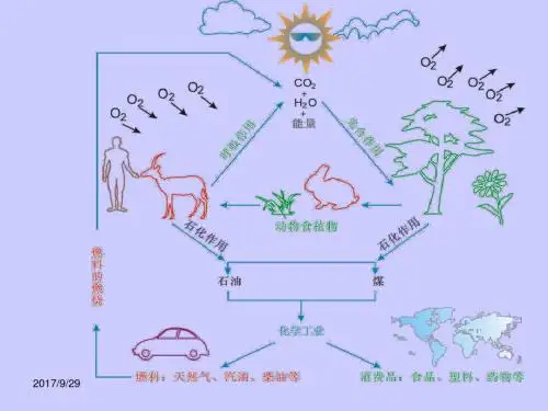 高二化学甲烷课件1