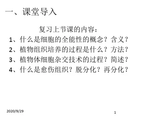 植物细胞工程的实际应用(上课用)PPT课件