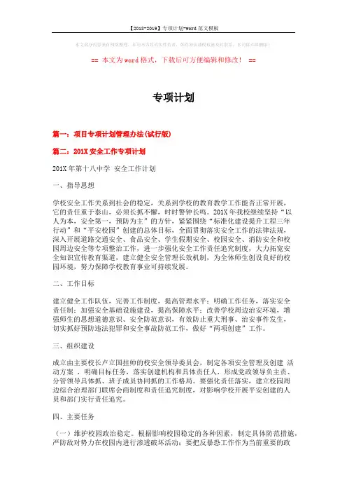 【2018-2019】专项计划-word范文模板 (3页)