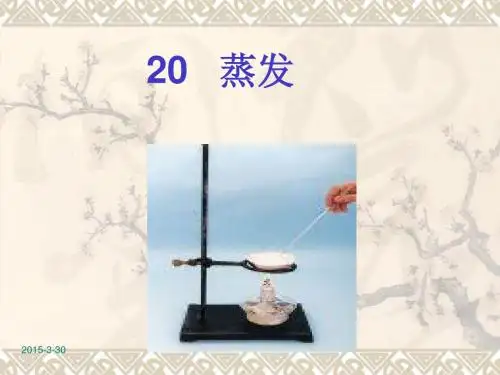 20 蒸发