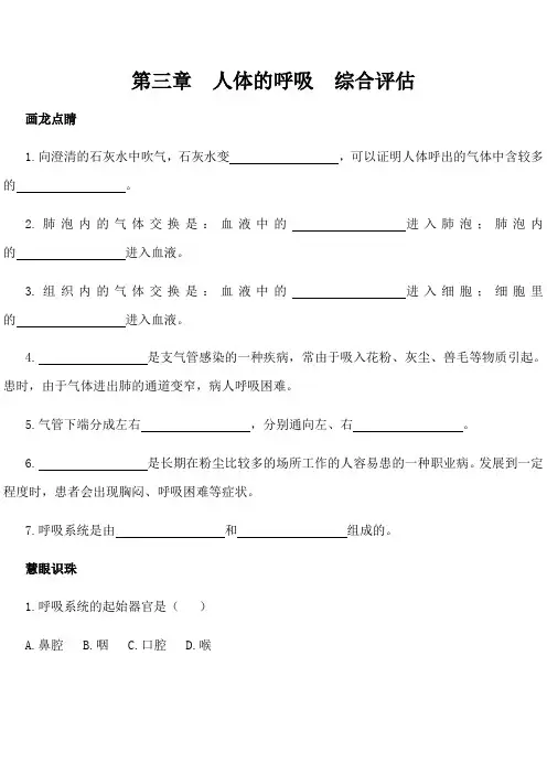 第三章 人体的呼吸  综合评价