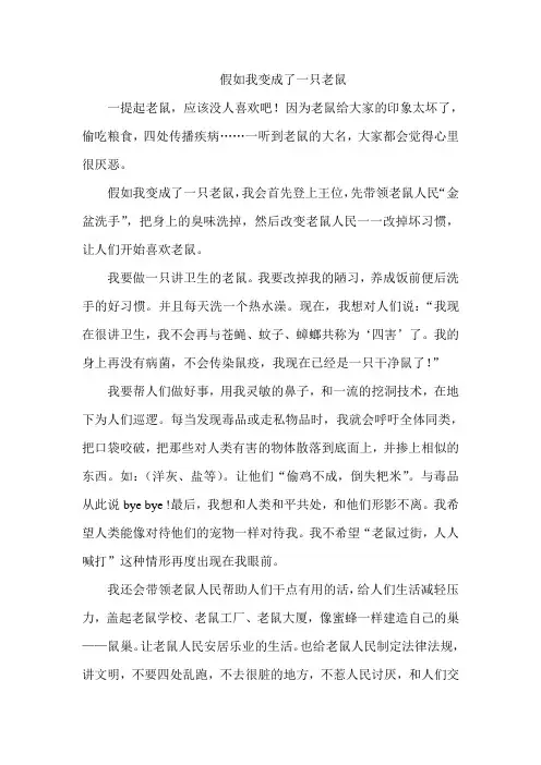 假如我变成了一只老鼠