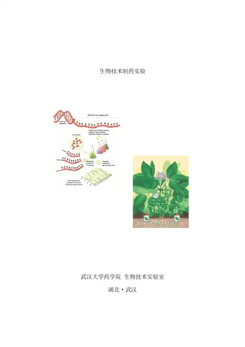 生物技术制药试验