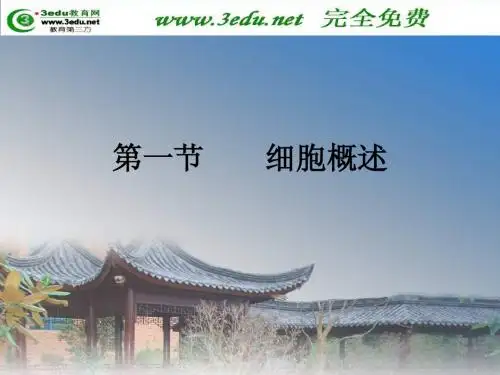 细胞概述-高中二年级生物课件