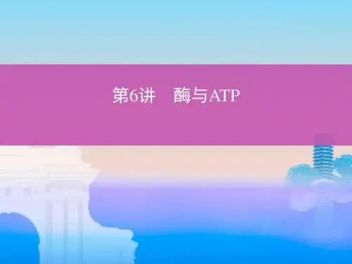 北京专用2019版高考生物一轮复习第6讲酶与ATP名师公开课省级获奖课件