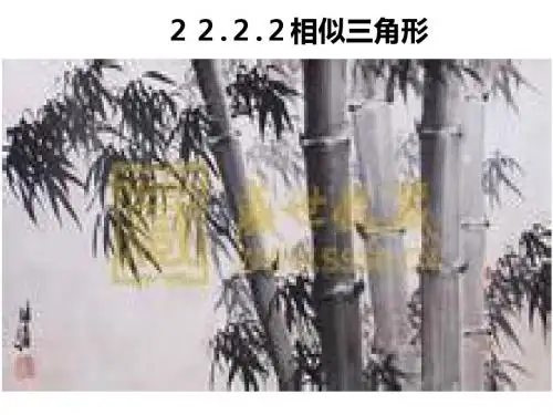 沪科版九年级数学上22.2.2相似三角形课件