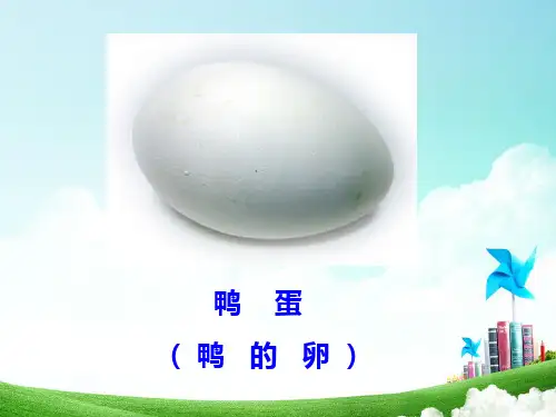 教科版小学科学三年级下册蚕卵里孵出的新生命 (1)