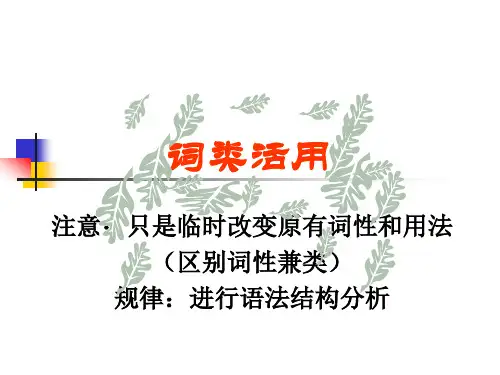 词类活用7