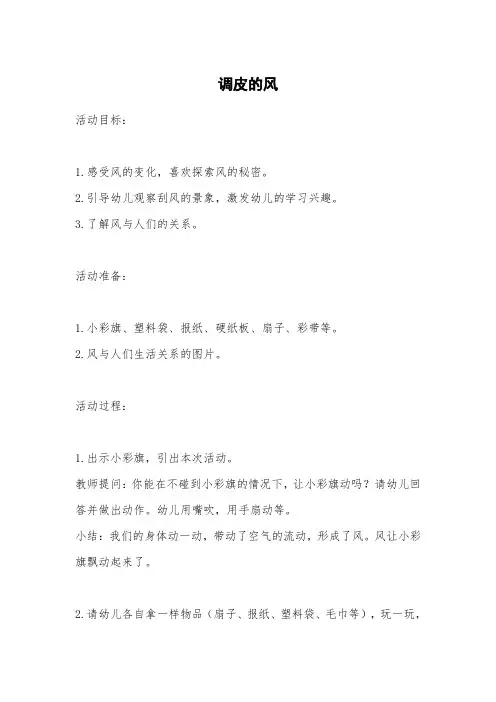 调皮的风