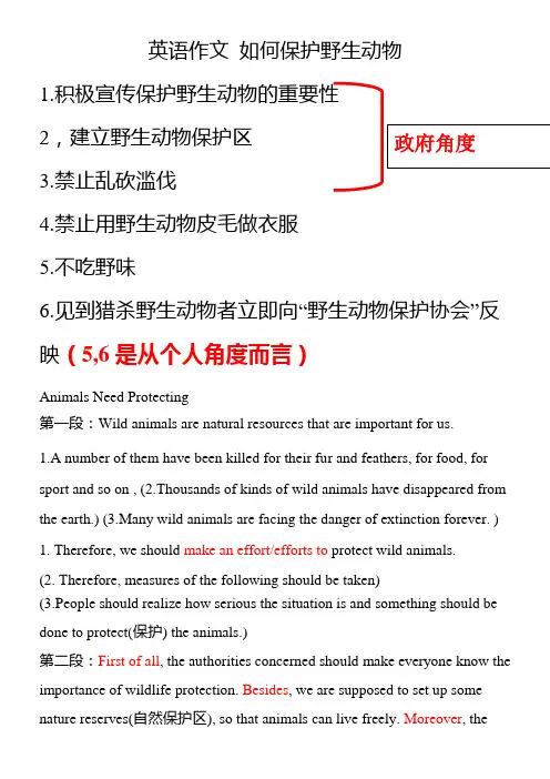 英语作文_如何保护野生动物