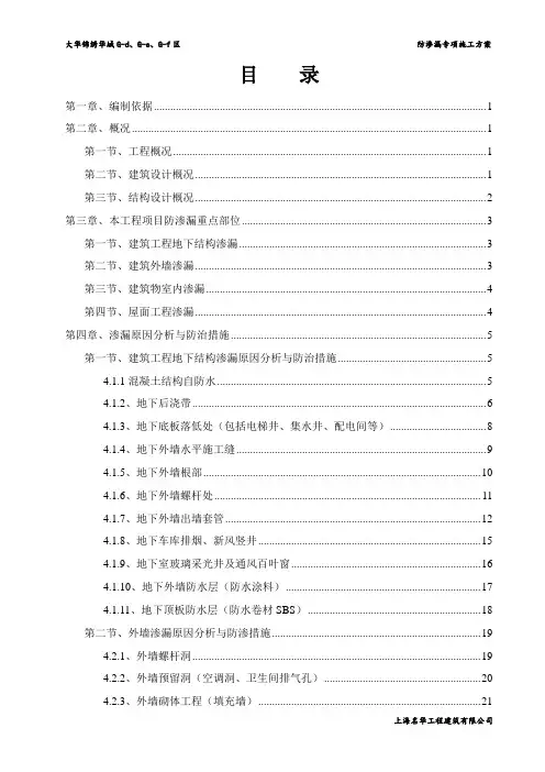防渗漏专项施工方案