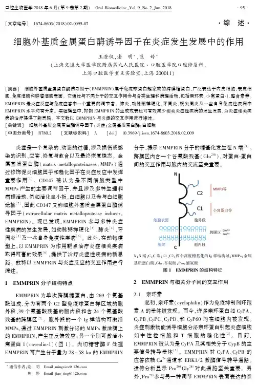 细胞外基质金属蛋白酶诱导因子在炎症发生发展中的作用