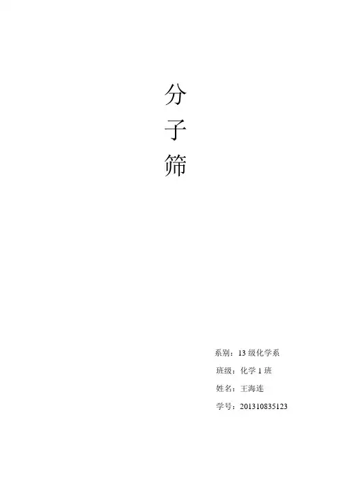 分子筛论文