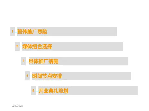 涡阳项目前期策划报告