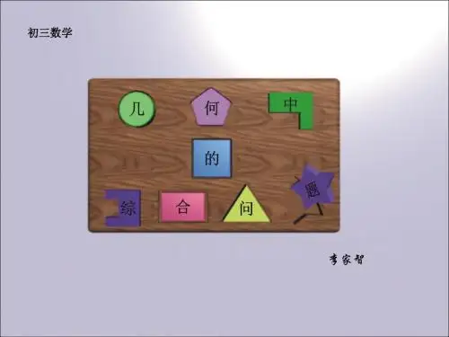 几何中的综合问题