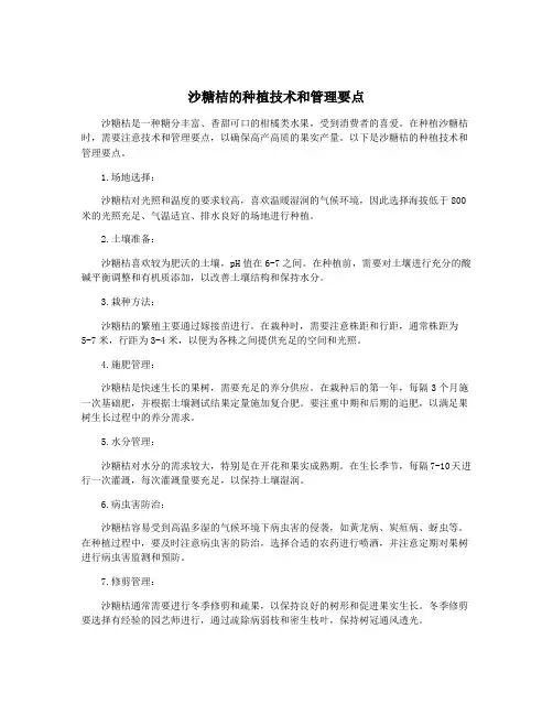 沙糖桔的种植技术和管理要点 2