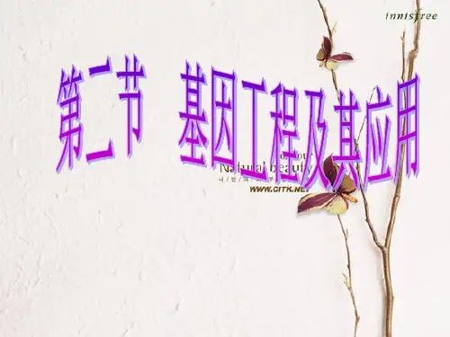高中生物必修二课件-高中生物必修二课件-6.2基因工程及其应用