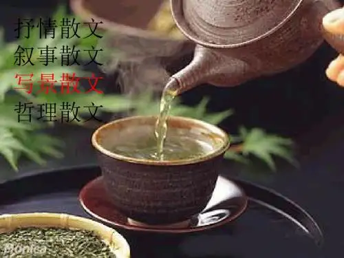 荷塘月色ppt课件6
