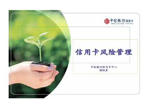 中信银行信用卡风险管理45页PPT