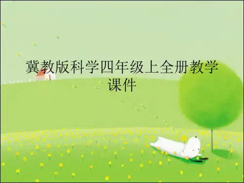 冀教版科学四年级上全册教学课件